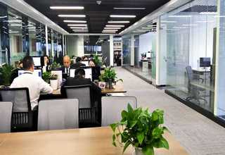 温州好质量纸质蜂窝纸芯多少钱